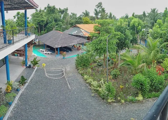 Guest house Happy Bear Budget